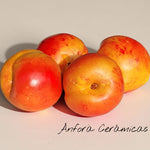 Nazarí Hängeplatte 4