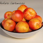 Nazarí Hängeplatte 4