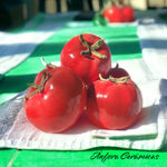 Verdura Tomate