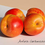 Nazarí Hängeplatte 4