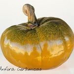 Keramikkürbis 1. Gemüse