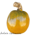 Keramik Kürbis 3, pflanzlich