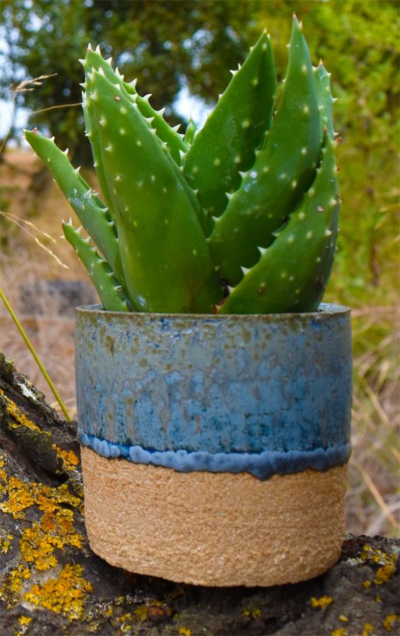 Maceta para cactus o flor pequeña | Taller artesanal Ánfora cerámicas